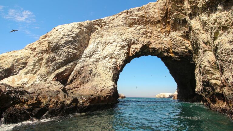 Ballestas Islands and Paracas Reserve: Full-Day Tour from Ica