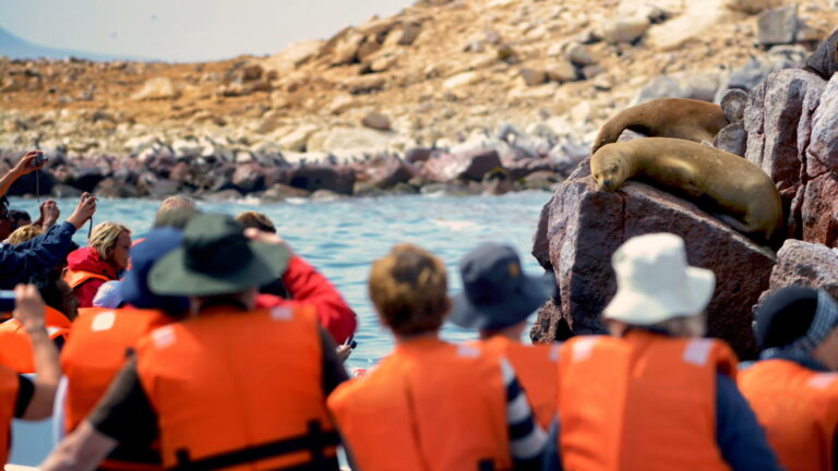 Paracas and Ica in One Day: Ballestas and Huacachina Tour from Lima